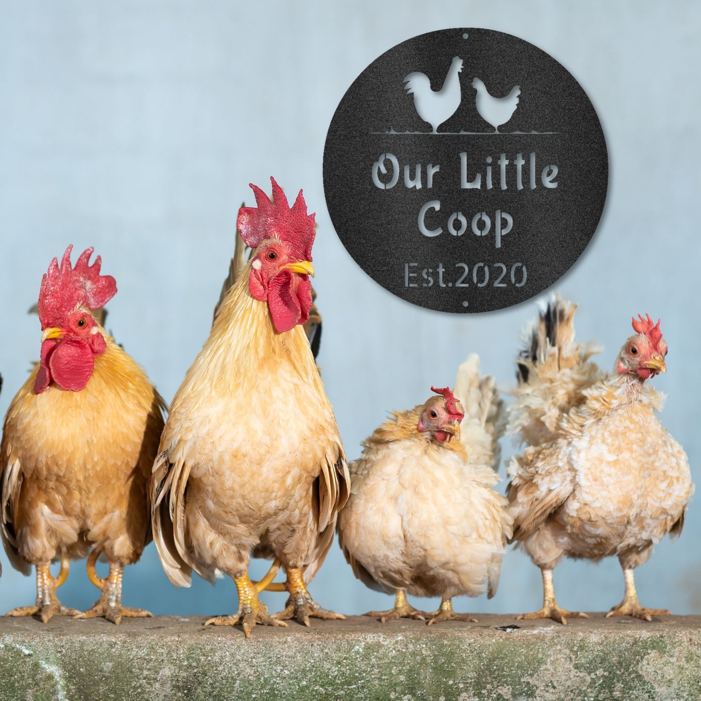 Chicken Coop - Custom Metal Sign